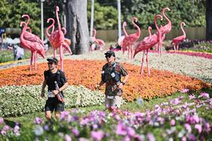 BIB: 
                            <button type="button" onclick="openModal(27793881)" class="btn btn-primary btn-sm float-right btn-popup" data-toggle="modal" data-target=".modal-high-quality">
                        <i class="fas fa-shopping-cart"></i> Add to Cart
                    </button>
                                            <button type="button" onclick="isThisMe(27793881, true)" class="btn btn-success btn-sm float-right btn-popup btn-isme hidden" data-toggle="tooltip" data-placement="bottom" title="นี่คือรูปของคุณใช่ไหม คลิกที่นี่เพื่อเอาเข้าอัลบั้ม">
                        <i class="fas fa-plus"></i> Add to album
                    </button>
                    <button type="button" onclick="isThisMe(27793881, false)" class="btn btn-warning btn-sm float-right btn-popup btn-isnotme hidden">
                        <i class="fas fa-ban"></i> Remove from album
                    </button>